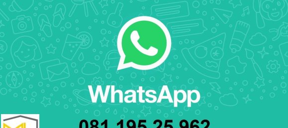 1 room Commercial property in Naples, Italy No. 123422 11