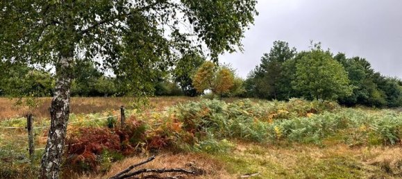 Дом с 5 комнатами в Кот-д'Ор, Франция № 327279 7