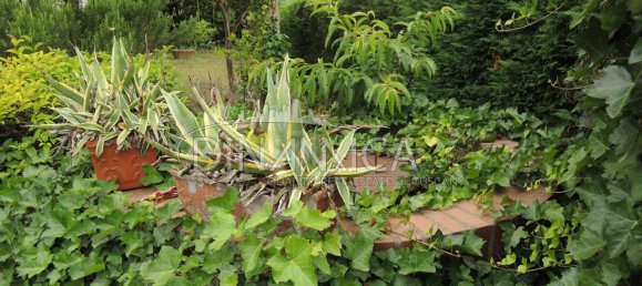 12 rooms Villa in San Miniato, Italy No. 236055 101