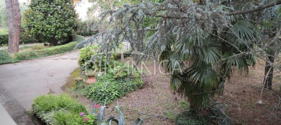 12 rooms Villa in San Miniato, Italy No. 236055 34