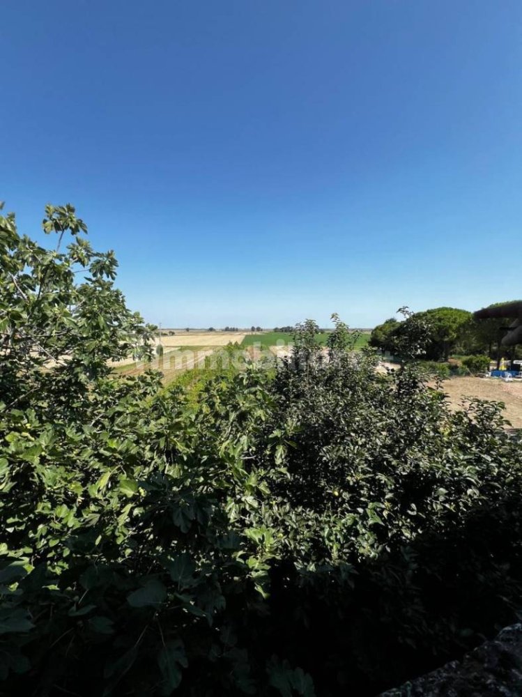 1 room Building in Ravenna, Italy No. 285337