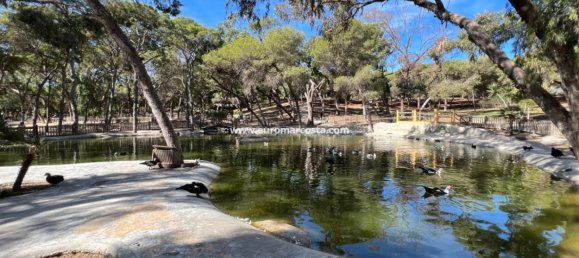 4 غرف نوم بنغالو في Guardamar del Segura, Spain رقم 28916 47