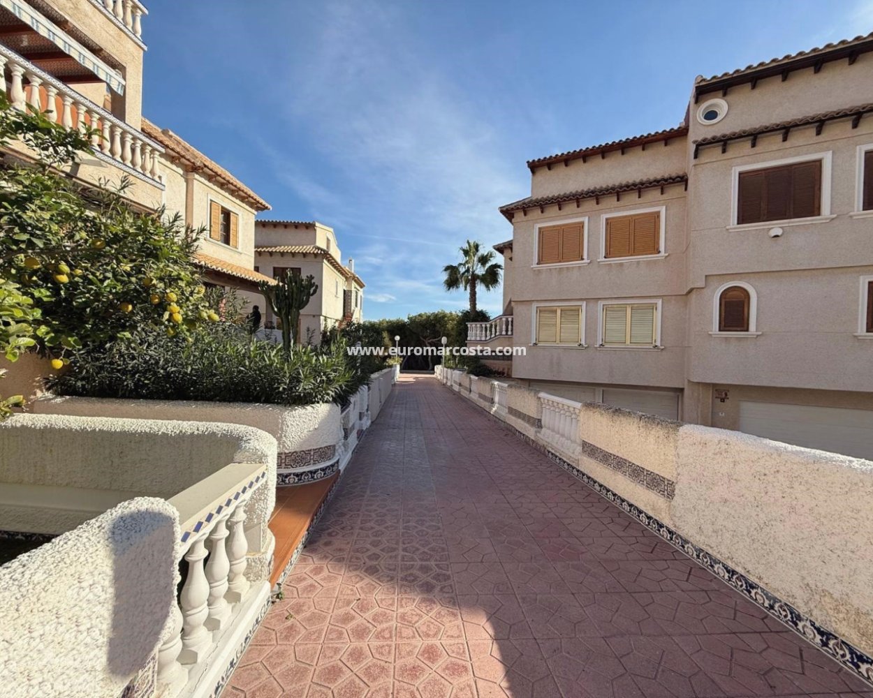 4 غرف نوم بنغالو في Guardamar del Segura, Spain رقم 28916