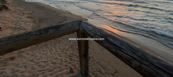 4 غرف نوم بنغالو في Guardamar del Segura, Spain رقم 28916 50