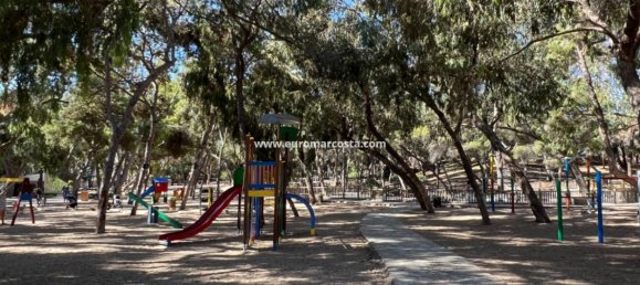 4 غرف نوم بنغالو في Guardamar del Segura, Spain رقم 28916 45