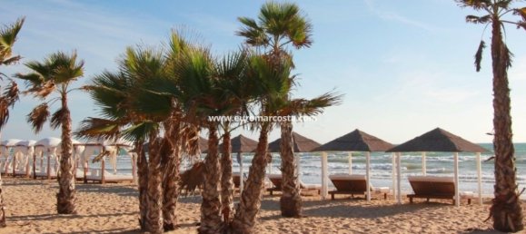 4 غرف نوم بنغالو في Guardamar del Segura, Spain رقم 28916 40