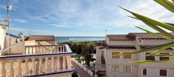 4 غرف نوم بنغالو في Guardamar del Segura, Spain رقم 28916 28