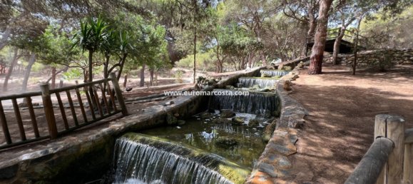 4 غرف نوم بنغالو في Guardamar del Segura, Spain رقم 28916 46