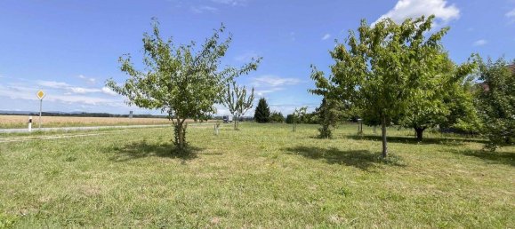 Land in Regensburg, Germany No. 320203 4