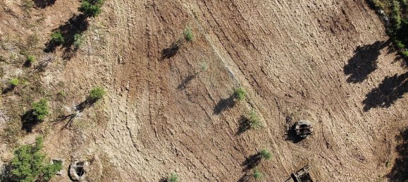 3 غرف نوم منزل في Serta, Portugal رقم 175981 8