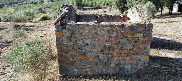 3 غرف نوم منزل في Serta, Portugal رقم 175981 5