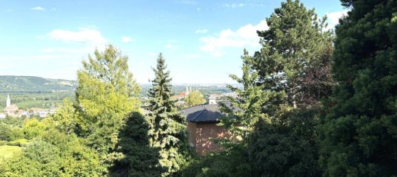 5-salle Villa à Klosterneuburg, Austria No. 226470 33