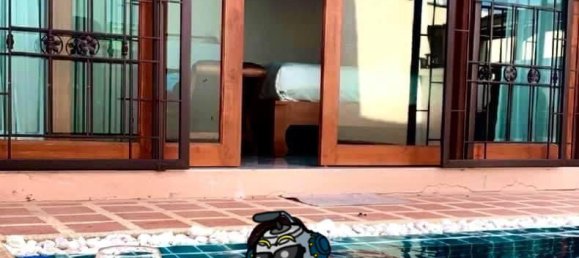 2 bedrooms Villa in Kathu, Thailand No. 11057 29