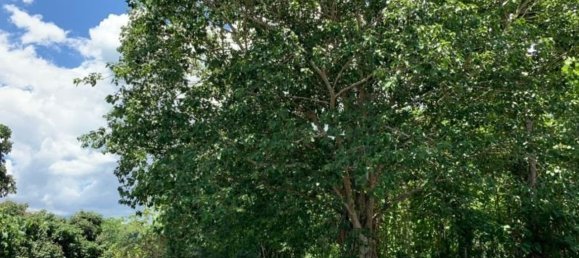 20 bedrooms Commercial property in Chiang Mai, Thailand No. 9290 3