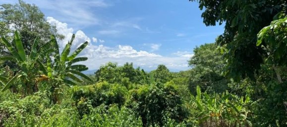 20 bedrooms Commercial property in Chiang Mai, Thailand No. 9290 9