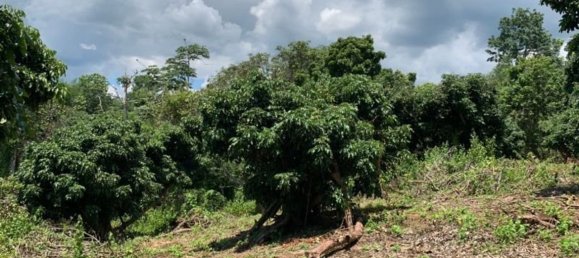 20 bedrooms Commercial property in Chiang Mai, Thailand No. 9290 7