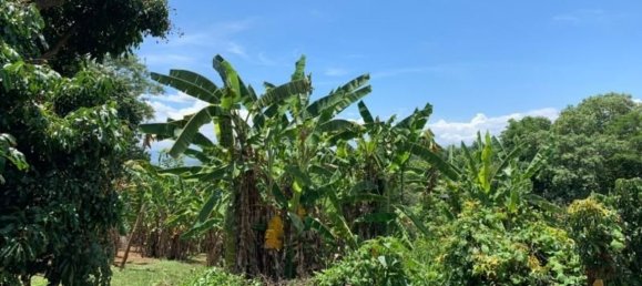 20 bedrooms Commercial property in Chiang Mai, Thailand No. 9290 5