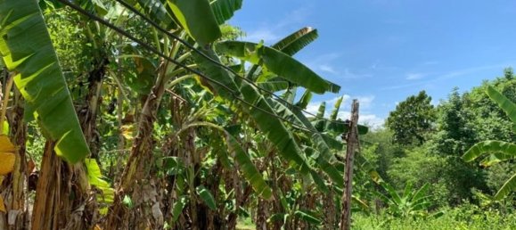 20 bedrooms Commercial property in Chiang Mai, Thailand No. 9290 10