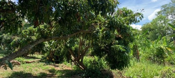 20 bedrooms Commercial property in Chiang Mai, Thailand No. 9290 8