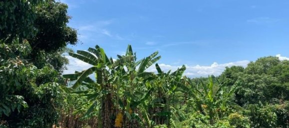 20 bedrooms Commercial property in Chiang Mai, Thailand No. 9290 6