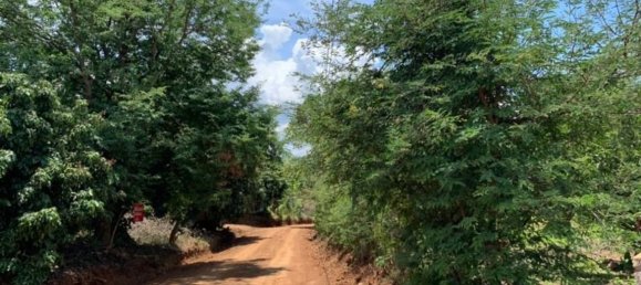 20 bedrooms Commercial property in Chiang Mai, Thailand No. 9290 15