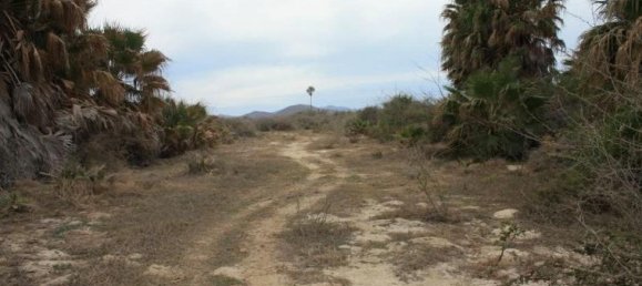 Terrain à Cabo San Lucas, Mexico No. 124760 2