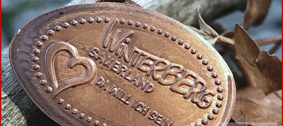 4-Zimmer Doppelhaus in Hochsauerlandkreis, Germany, Nr. 35703 9