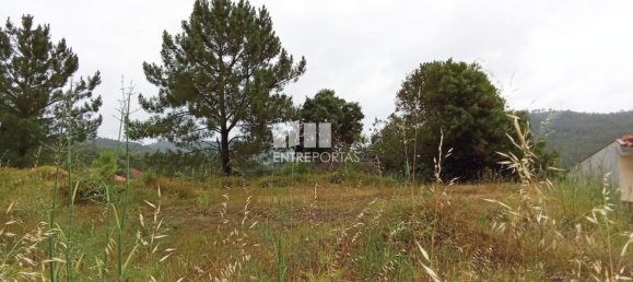 Grundstück in Viana do Castelo, Portugal 649m², Nr. 59146 6