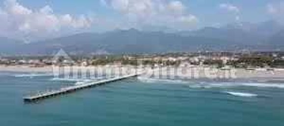 2 bedrooms Villa in Forte dei Marmi, Italy No. 194177 20