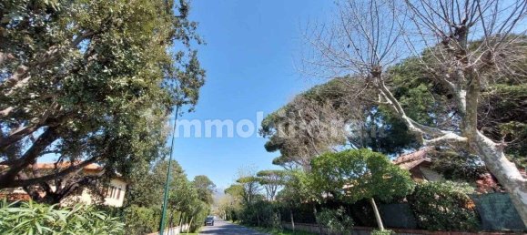 2 bedrooms Villa in Forte dei Marmi, Italy No. 194177 19