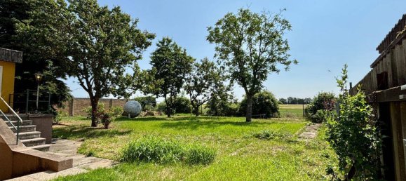 4 rooms Bungalow in Ringelsdorf-Niederabsdorf, Austria No. 142147 35