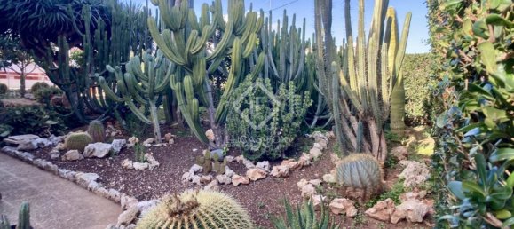 4 Schlafzimmer Villa in Menorca, Spain, Nr. 87944 9