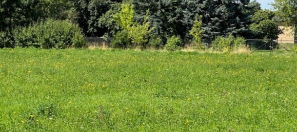  Land in Wittenberg, Germany No. 152484 5