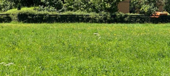  Land in Wittenberg, Germany No. 152484 4