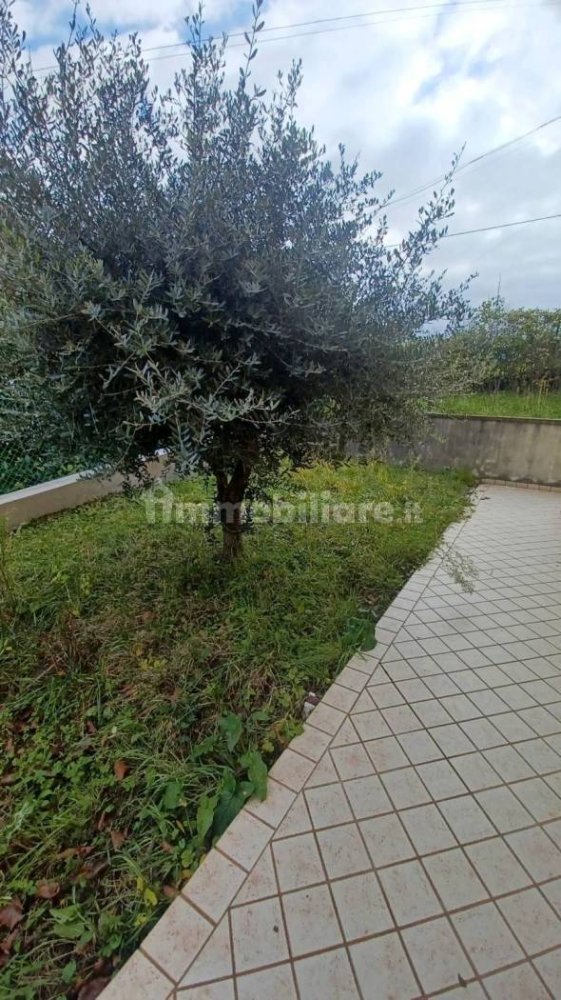 1 bedroom Apartment in Monte Grimano Terme, Italy No. 228516