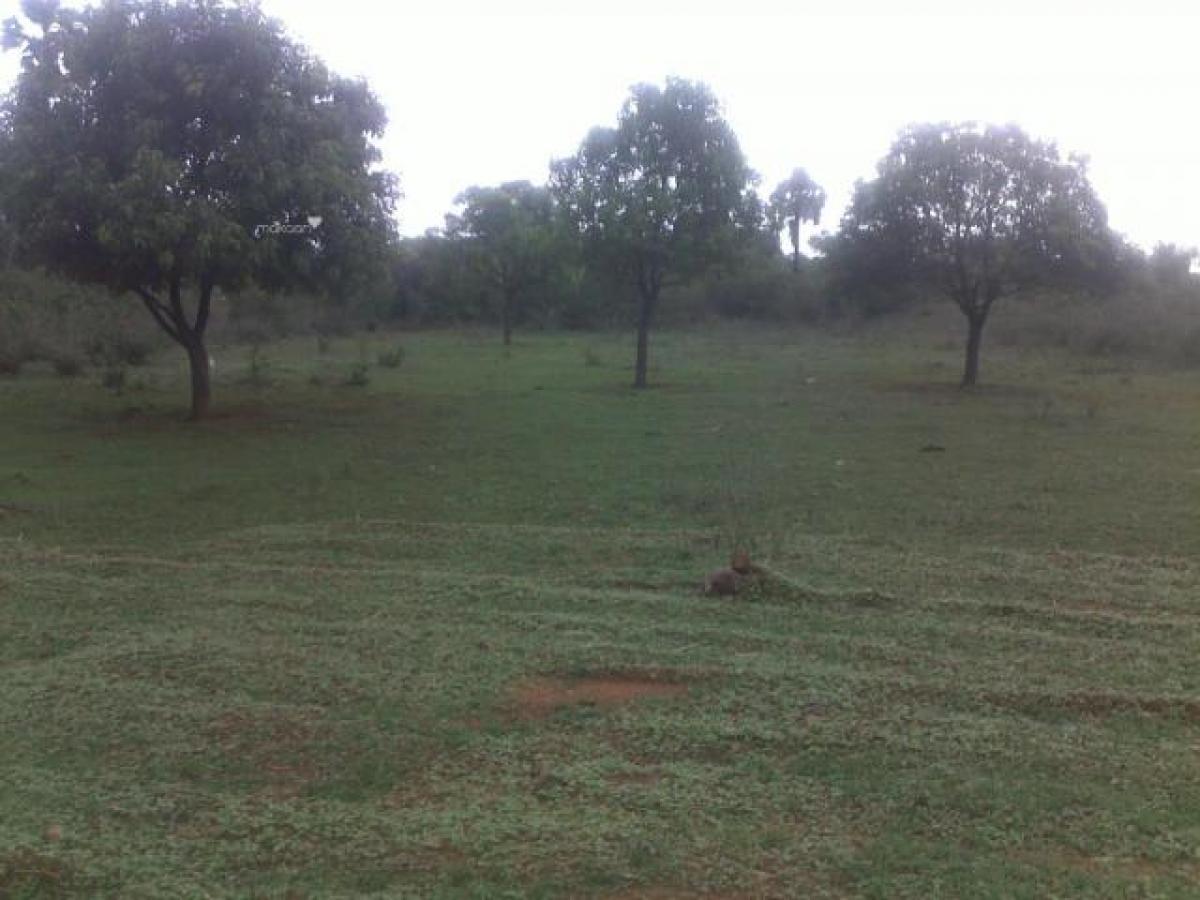  Land in Gurgaon, India No. 33595