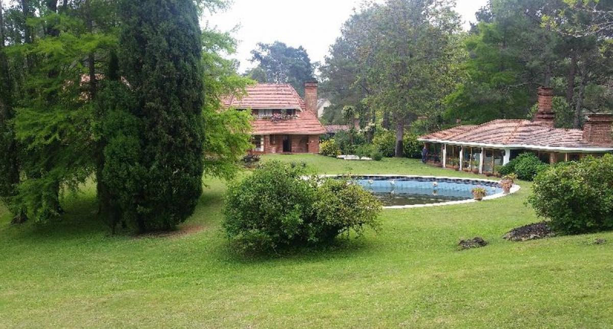 5 bedrooms House in Maldonado, Uruguay No. 10842