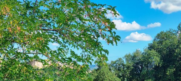 5 rooms House in Ari, Italy No. 308069 46