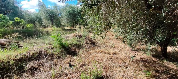 5 rooms House in Ari, Italy No. 308069 13