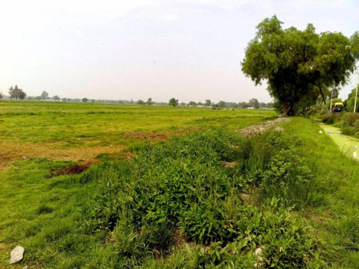  Land in Ciudad Nezahualcoyotl, Mexico No. 203039