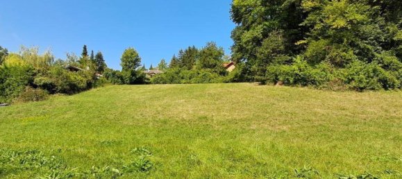  Land in Sieghartskirchen, Austria No. 82387 4