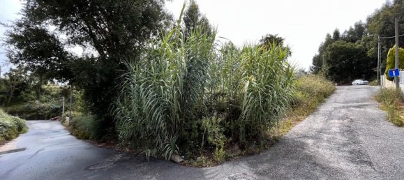 346m² Land in Madalena, Portugal No. 61453 2