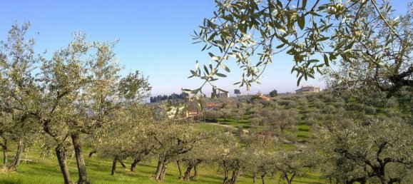 5 rooms House in Collecorvino, Italy No. 76225 12