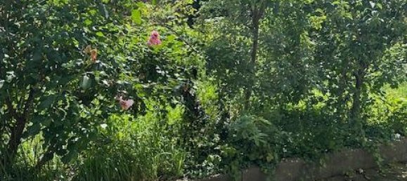 4 rooms Apartment in Saarbrucken, Germany No. 313706 4