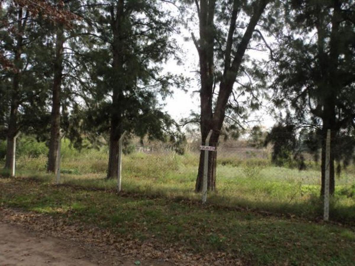 Grundstück in Pilar, Argentina, Nr. 113563