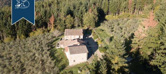 7 bedrooms Commercial property in Pelago, Italy No. 370939 2