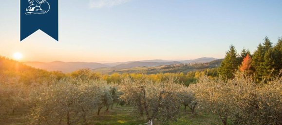 7 bedrooms Commercial property in Pelago, Italy No. 370939 43