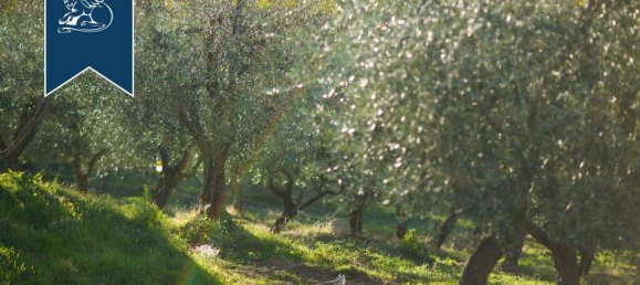 7 bedrooms Commercial property in Pelago, Italy No. 370939 13