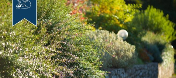 7 bedrooms Commercial property in Pelago, Italy No. 370939 12