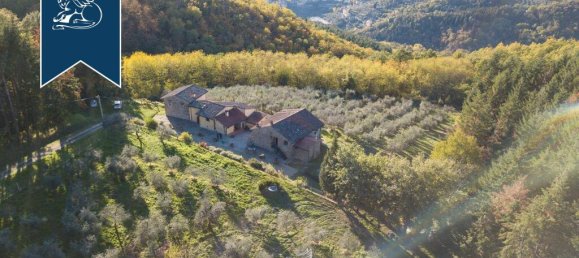 7 bedrooms Commercial property in Pelago, Italy No. 370939 3